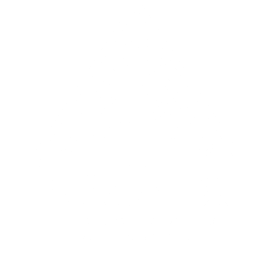 RAONIX LTD